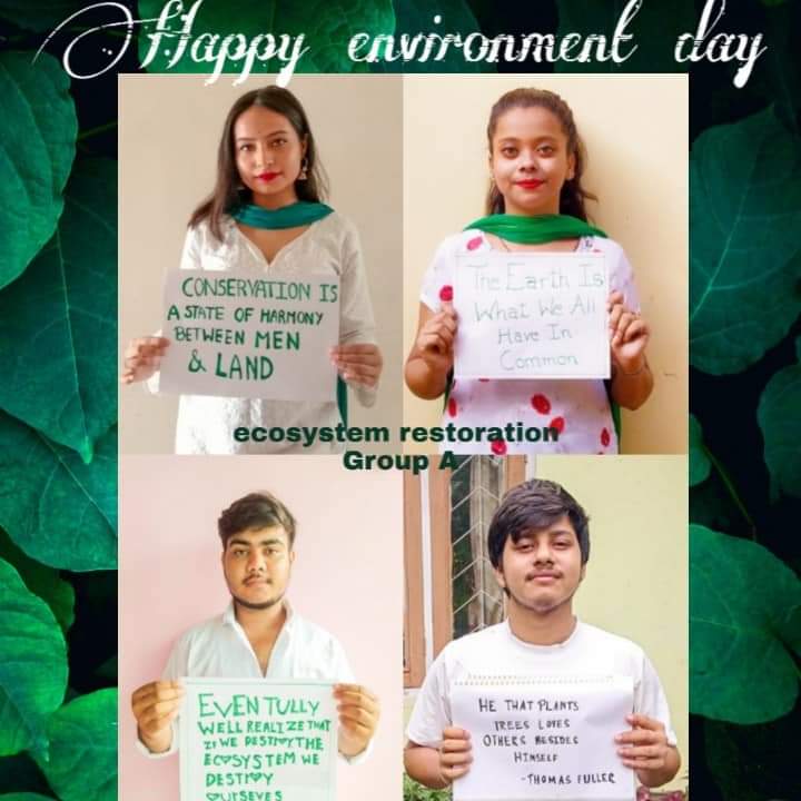 Environment day Activity